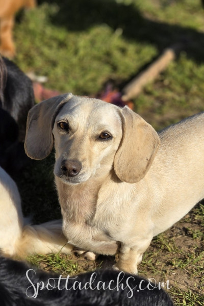 Ava & Echo - Image 13