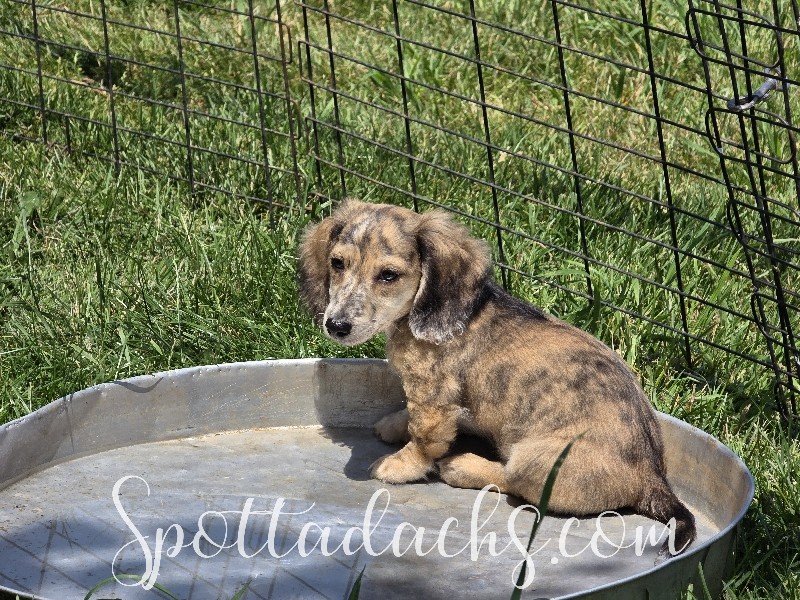Honey - Image 20