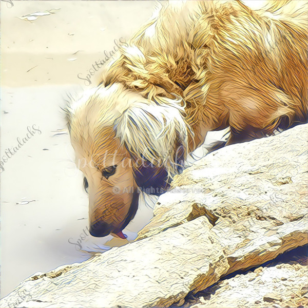 Ellie - Image 7